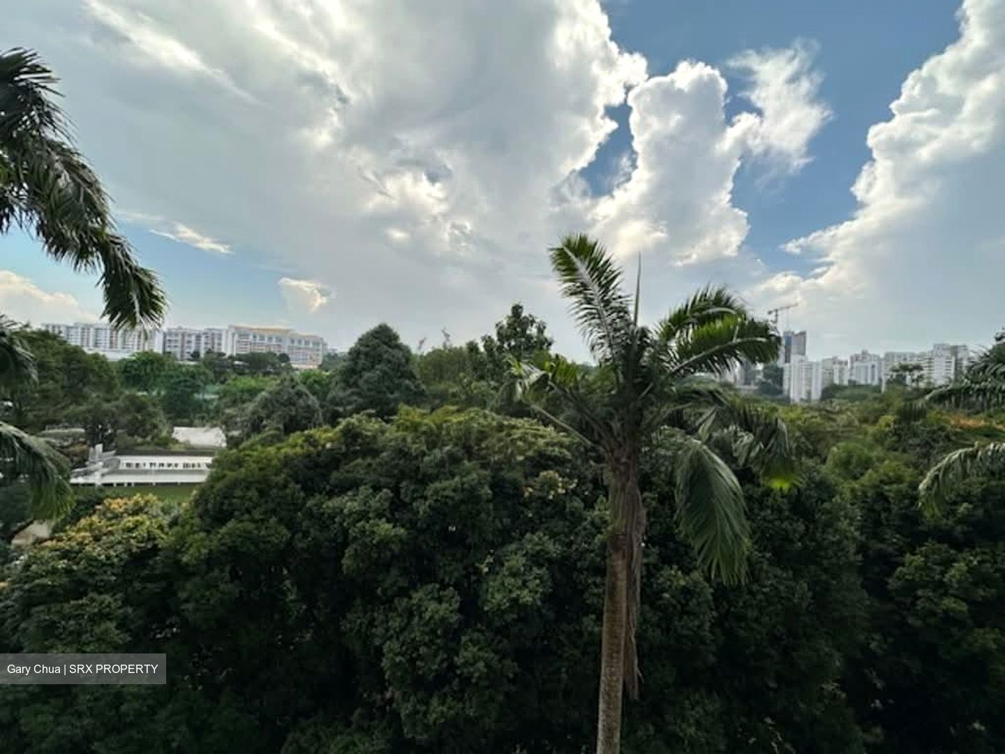 Blk 339 Clementi Avenue 5 (Clementi), HDB 3 Rooms #561632181